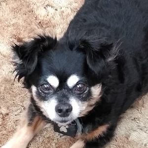 Meet your Posher, Annette